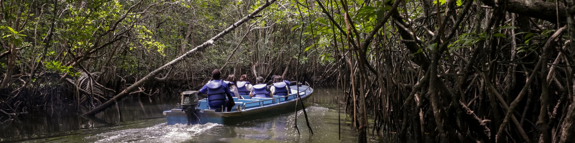 Źródło: Bintan Resorts Tour 